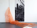 DSC5364