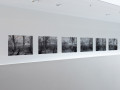 Galerie52_ViolaMaiwald_LowRes-2